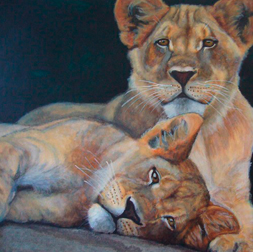 Lions | Brother Cubs