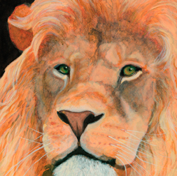 Lion | The King